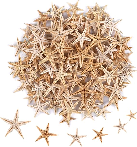 100 Pcs Small Starfish Star Sea Shell Beach for Craft 0.4-1